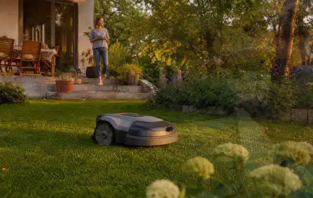 Mähroboter fährt am Abend über einen Rasen im Familiengarten; Thema Husqvarna Automower, Schwerpunkt Nachhaltigkeit; Ausgangslage.