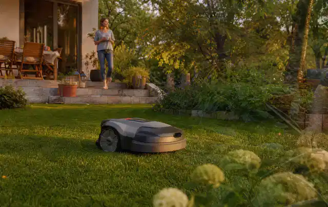 Mähroboter fährt am Abend über einen Rasen im Familiengarten; Thema Husqvarna Automower, Schwerpunkt Reinigung; Praxisalltag.