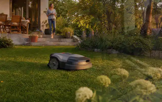 Mähroboter fährt am Abend über einen Rasen im Familiengarten; Thema Husqvarna Automower, Schwerpunkt Reparatur; Ausgangslage.