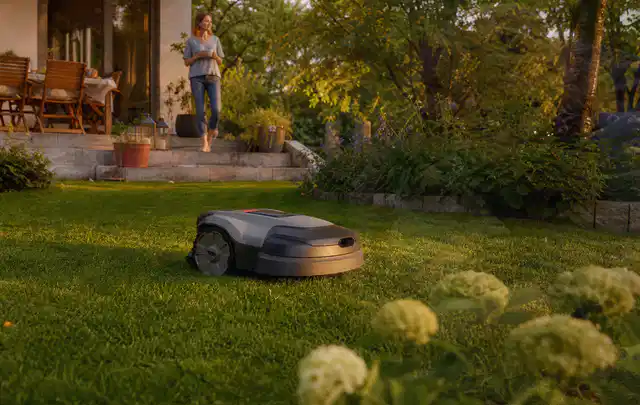 Mähroboter fährt am Abend über einen Rasen im Familiengarten; Thema Husqvarna Automower, Schwerpunkt Sicherheit; Umsetzung.