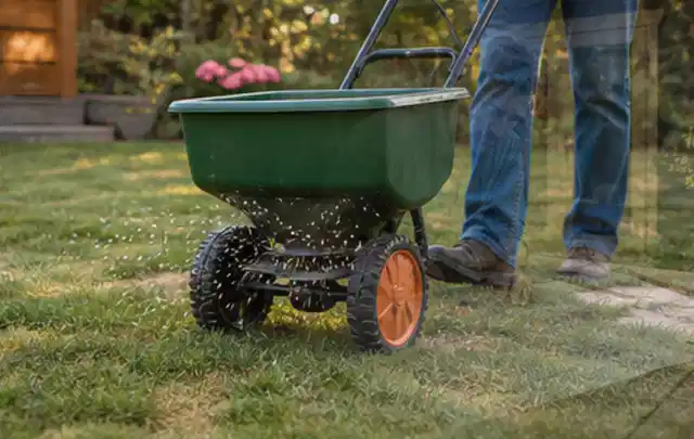 Person verteilt Rasensamen mit einem Streuwagen auf einer lückigen Fläche; Thema Husqvarna Automower, Schwerpunkt Sicherheit; Ergebnis.