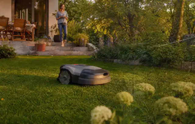 Mähroboter fährt am Abend über einen Rasen im Familiengarten; Thema Husqvarna Automower, Schwerpunkt Systemvergleich; Umsetzung.