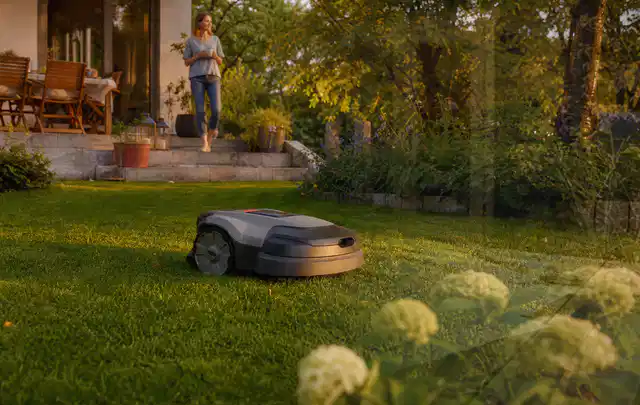 Mähroboter fährt am Abend über einen Rasen im Familiengarten; Thema Husqvarna Automower, Schwerpunkt Testkriterien; Ausgangslage.