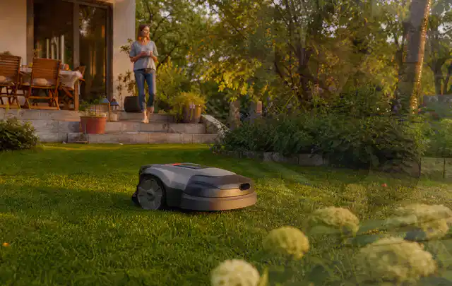 Mähroboter fährt am Abend über einen Rasen im Familiengarten; Thema Husqvarna Automower, Schwerpunkt Vergleich; Kontrolle.