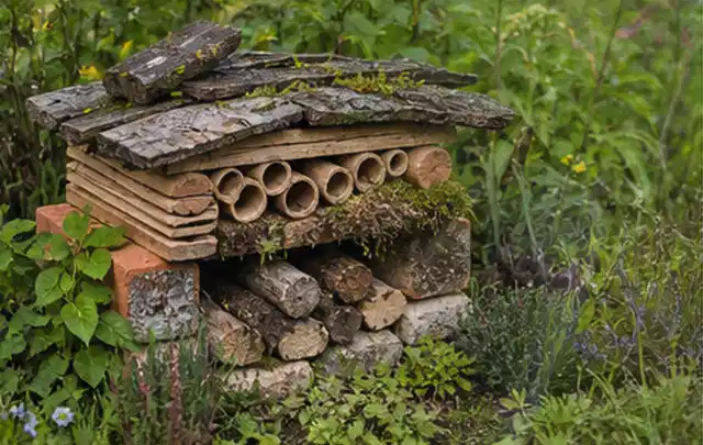 Naturnaher Unterschlupf aus Holz Rinde und Pflanzenstängeln im Garten; Thema Insektenfreundlicher Garten, Schwerpunkt Privatsphäre; Ergebnis.