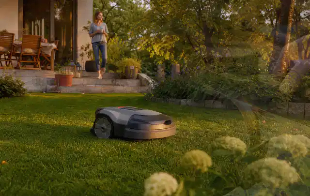 Mähroboter fährt am Abend über einen Rasen im Familiengarten; Thema Installation, Schwerpunkt Mähroboter; Ergebnis.
