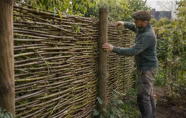 Person befestigt geflochtene Weidenruten an stabilen Holzpfosten im Garten; Thema Japanischer Garten, Schwerpunkt Kosten; Ausgangslage.