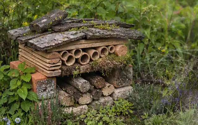 Naturnaher Unterschlupf aus Holz Rinde und Pflanzenstängeln im Garten; Thema Japanischer Garten, Schwerpunkt Praxisbeispiele; Umsetzung.
