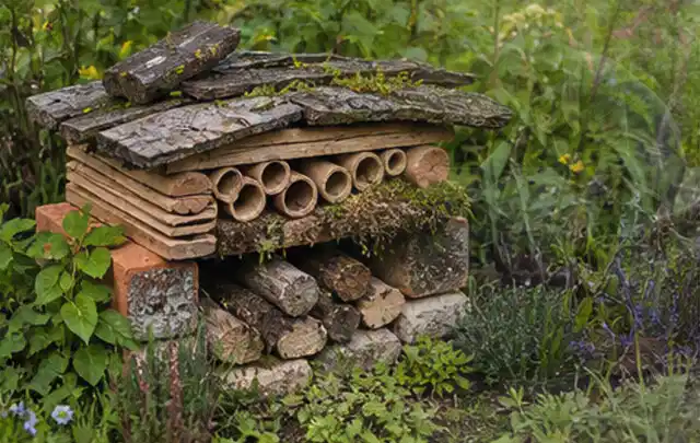Naturnaher Unterschlupf aus Holz Rinde und Pflanzenstängeln im Garten; Thema Japanischer Garten, Schwerpunkt Wegeführung; Umsetzung.