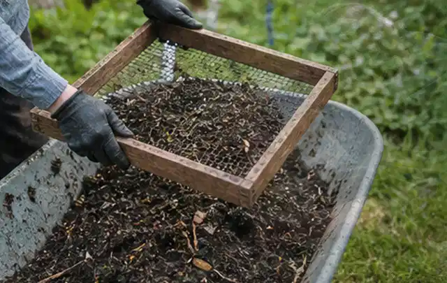 Behandschuhte Hände sieben reifen Kompost über einer Gartenschubkarre; Thema Kartoffeln, Schwerpunkt Ernte; Ergebnis.