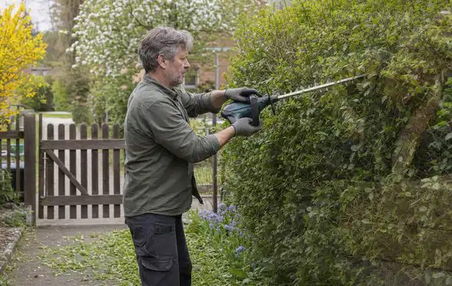 Person schneidet eine Gartenhecke mit einem motorisierten Gartengerät; Thema Kettensägen, Schwerpunkt Anwendung; Ausgangslage.