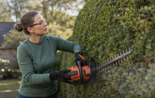 Person schneidet eine dichte Gartenhecke mit Schutzbrille und sicherem Stand; Thema Kettensägen, Schwerpunkt Anwendung; Kontrolle.