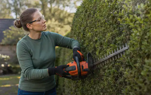 Person schneidet eine dichte Gartenhecke mit Schutzbrille und sicherem Stand; Thema Kettensägen, Schwerpunkt Bestenliste; Ergebnis.