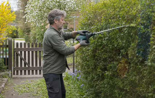 Person schneidet eine Gartenhecke mit einem motorisierten Gartengerät; Thema Kettensägen, Schwerpunkt Checkliste; Praxisalltag.