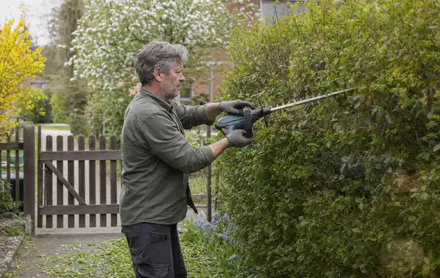 Person schneidet eine Gartenhecke mit einem motorisierten Gartengerät; Thema Kettensägen, Schwerpunkt Dimensionierung; Praxisalltag.