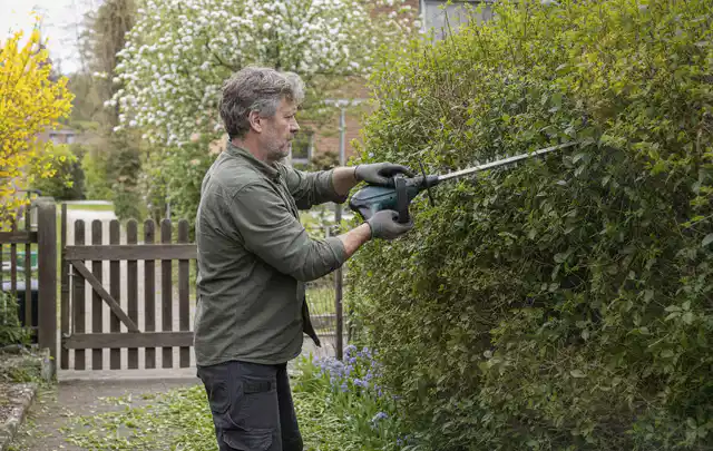 Person schneidet eine Gartenhecke mit einem motorisierten Gartengerät; Thema Kettensägen, Schwerpunkt Ersatzteile; Kontrolle.