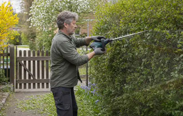 Person schneidet eine Gartenhecke mit einem motorisierten Gartengerät; Thema Kettensägen, Schwerpunkt Fehlerhilfe; Kontrolle.