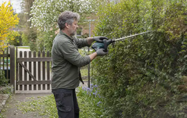 Person schneidet eine Gartenhecke mit einem motorisierten Gartengerät; Thema Kettensägen, Schwerpunkt Gärten mit großer Fläche; Umsetzung.