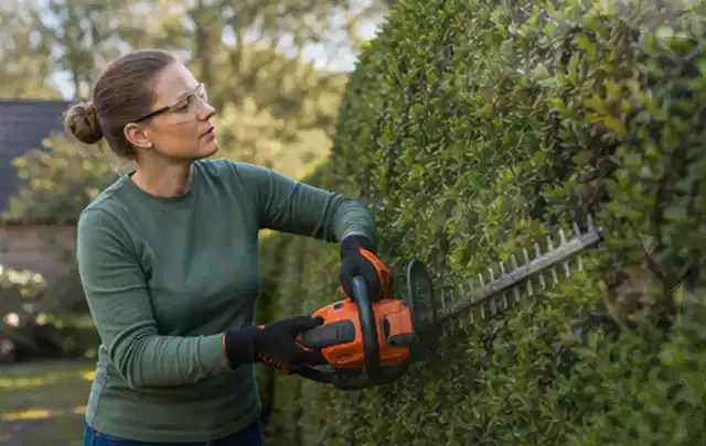 Person schneidet eine dichte Gartenhecke mit Schutzbrille und sicherem Stand; Thema Kettensägen, Schwerpunkt Gärten mit kleiner Fläche; Ausgangslage.