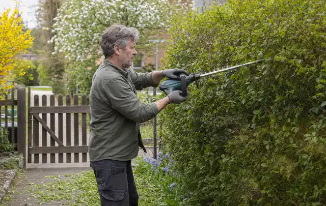 Person schneidet eine Gartenhecke mit einem motorisierten Gartengerät; Thema Kettensägen, Schwerpunkt Gärten mit kleiner Fläche; Umsetzung.