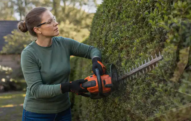 Person schneidet eine dichte Gartenhecke mit Schutzbrille und sicherem Stand; Thema Kettensägen, Schwerpunkt Gartengeräte; Ausgangslage.