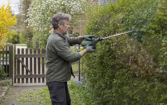 Person schneidet eine Gartenhecke mit einem motorisierten Gartengerät; Thema Kettensägen, Schwerpunkt Gartengeräte; Umsetzung.