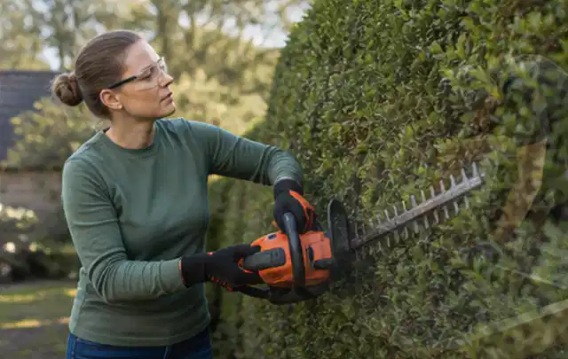 Person schneidet eine dichte Gartenhecke mit Schutzbrille und sicherem Stand; Thema Kettensägen, Schwerpunkt Kaufberatung; Praxisalltag.