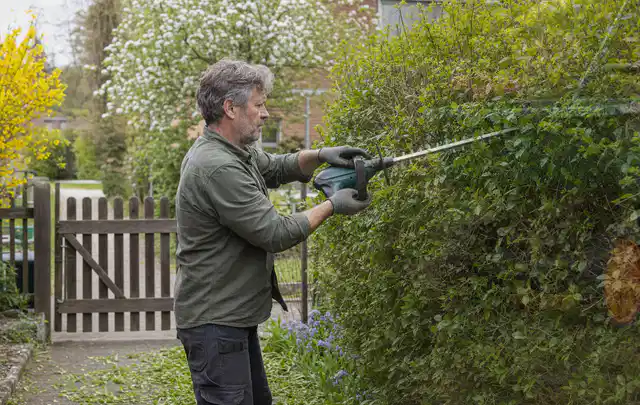 Person schneidet eine Gartenhecke mit einem motorisierten Gartengerät; Thema Kettensägen, Schwerpunkt Kosten; Umsetzung.