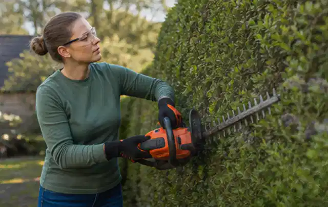 Person schneidet eine dichte Gartenhecke mit Schutzbrille und sicherem Stand; Thema Kettensägen, Schwerpunkt Kosten; Kontrolle.