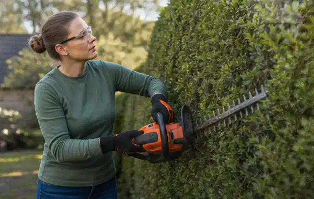 Person schneidet eine dichte Gartenhecke mit Schutzbrille und sicherem Stand; Thema Kettensägen, Schwerpunkt Leistung; Ergebnis.