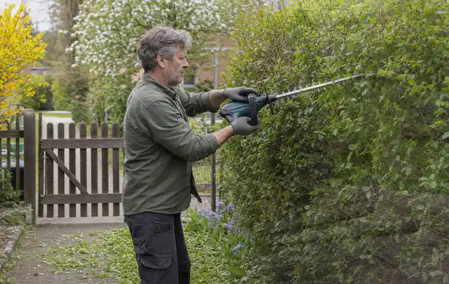 Person schneidet eine Gartenhecke mit einem motorisierten Gartengerät; Thema Kettensägen, Schwerpunkt Leistung; Praxisalltag.
