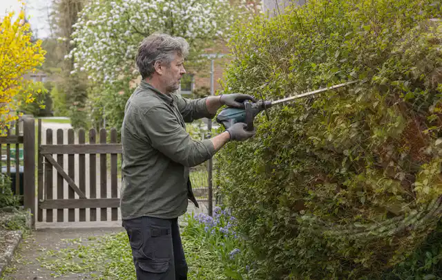 Person schneidet eine Gartenhecke mit einem motorisierten Gartengerät; Thema Kettensägen, Schwerpunkt Nachhaltigkeit; Umsetzung.