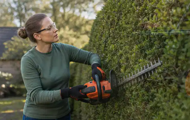 Person schneidet eine dichte Gartenhecke mit Schutzbrille und sicherem Stand; Thema Kettensägen, Schwerpunkt Nachhaltigkeit; Praxisalltag.