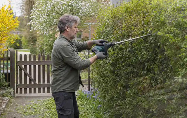 Person schneidet eine Gartenhecke mit einem motorisierten Gartengerät; Thema Kettensägen, Schwerpunkt Reparatur; Ergebnis.