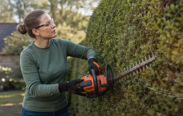 Person schneidet eine dichte Gartenhecke mit Schutzbrille und sicherem Stand; Thema Kettensägen, Schwerpunkt Sicherheit; Kontrolle.