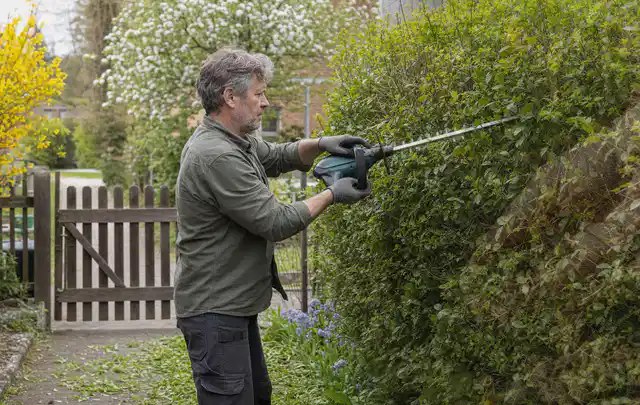 Person schneidet eine Gartenhecke mit einem motorisierten Gartengerät; Thema Kettensägen, Schwerpunkt Systemvergleich; Kontrolle.