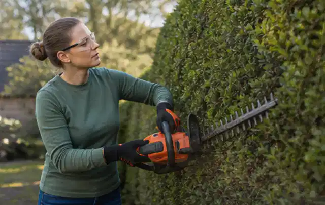 Person schneidet eine dichte Gartenhecke mit Schutzbrille und sicherem Stand; Thema Kettensägen, Schwerpunkt Systemvergleich; Ergebnis.