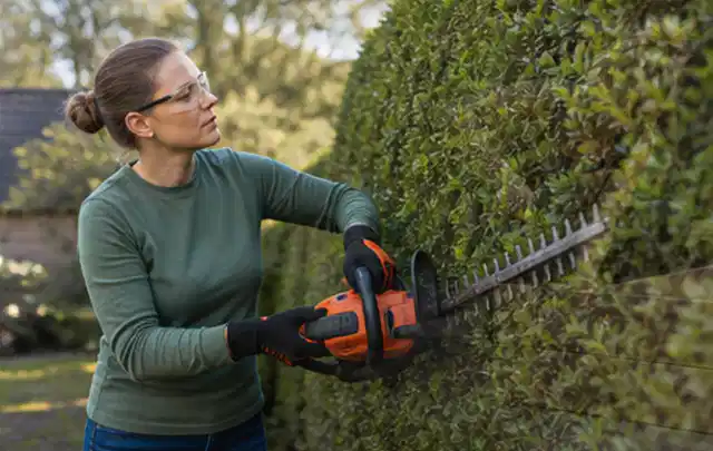 Person schneidet eine dichte Gartenhecke mit Schutzbrille und sicherem Stand; Thema Kettensägen, Schwerpunkt Testkriterien; Umsetzung.