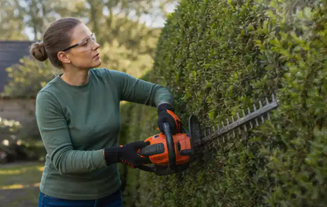 Person schneidet eine dichte Gartenhecke mit Schutzbrille und sicherem Stand; Thema Kettensägen, Schwerpunkt Vergleich; Umsetzung.