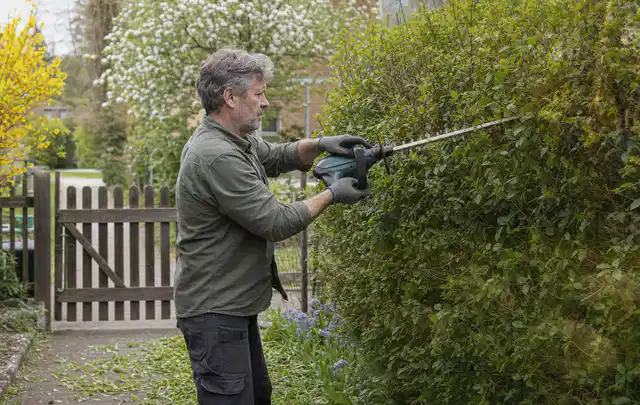 Person schneidet eine Gartenhecke mit einem motorisierten Gartengerät; Thema Kettensägen, Schwerpunkt Vergleich; Kontrolle.
