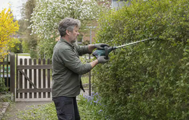 Person schneidet eine Gartenhecke mit einem motorisierten Gartengerät; Thema Kettensägen, Schwerpunkt Wartung; Ergebnis.