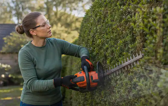 Person schneidet eine dichte Gartenhecke mit Schutzbrille und sicherem Stand; Thema Kettensägen, Schwerpunkt Wartung; Praxisalltag.