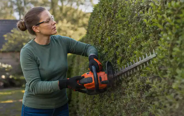 Person schneidet eine dichte Gartenhecke mit Schutzbrille und sicherem Stand; Thema Kettensägen, Schwerpunkt Winterlager; Ausgangslage.