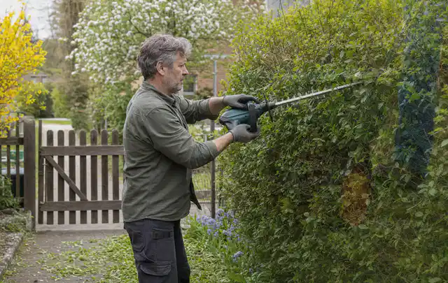 Person schneidet eine Gartenhecke mit einem motorisierten Gartengerät; Thema Kettensägen, Schwerpunkt Winterlager; Ergebnis.