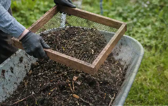 Behandschuhte Hände sieben reifen Kompost über einer Gartenschubkarre; Thema Kirschbäume, Schwerpunkt Ernteprobleme; Umsetzung.
