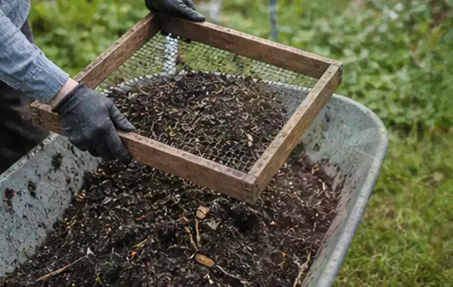 Behandschuhte Hände sieben reifen Kompost über einer Gartenschubkarre; Thema Kirschbäume, Schwerpunkt Sortenwahl; Ausgangslage.