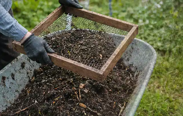 Behandschuhte Hände sieben reifen Kompost über einer Gartenschubkarre; Thema Kiwi, Schwerpunkt Aussaat; Kontrolle.