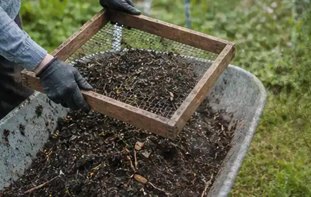 Behandschuhte Hände sieben reifen Kompost über einer Gartenschubkarre; Thema Kiwi, Schwerpunkt Balkongarten; Ausgangslage.