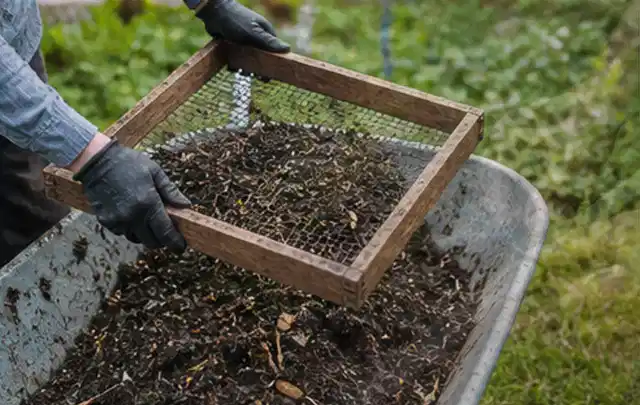 Behandschuhte Hände sieben reifen Kompost über einer Gartenschubkarre; Thema Kiwi, Schwerpunkt Bewässerung; Ergebnis.