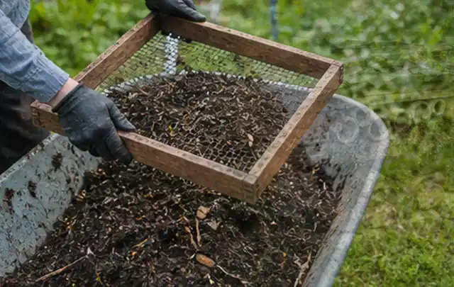Behandschuhte Hände sieben reifen Kompost über einer Gartenschubkarre; Thema Kiwi, Schwerpunkt Boden; Ergebnis.